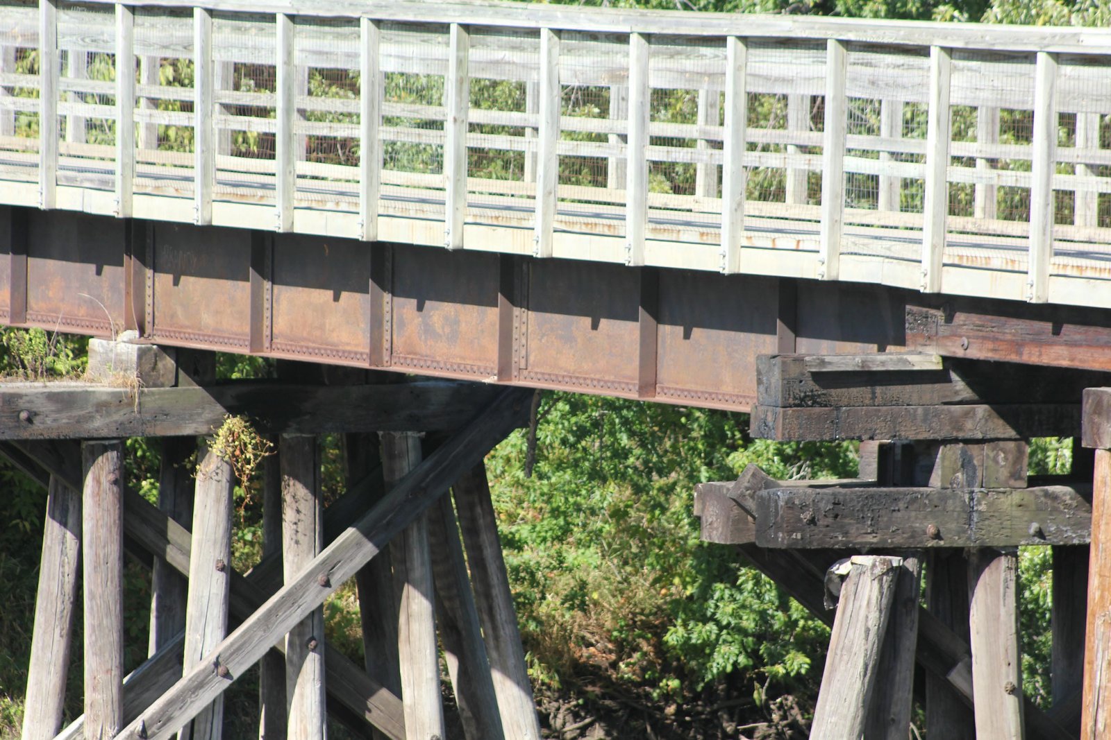 South span